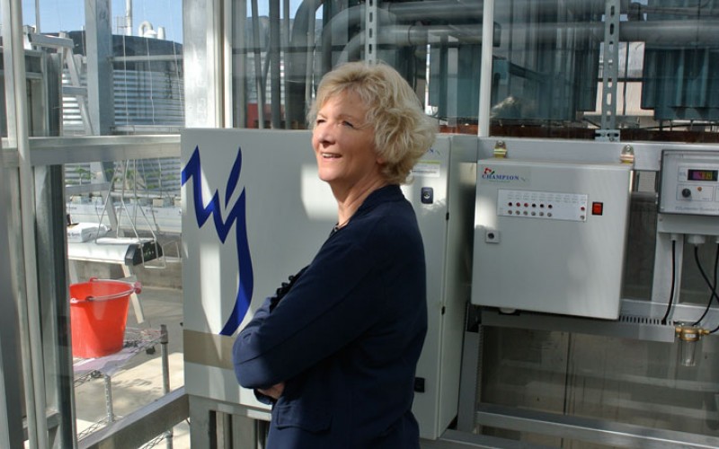 Ultimately, it’s all about marketing