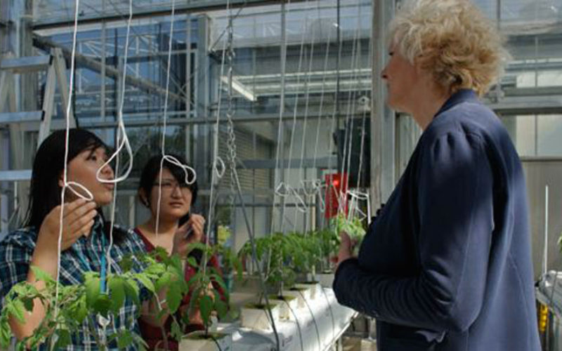 Everything starts with food