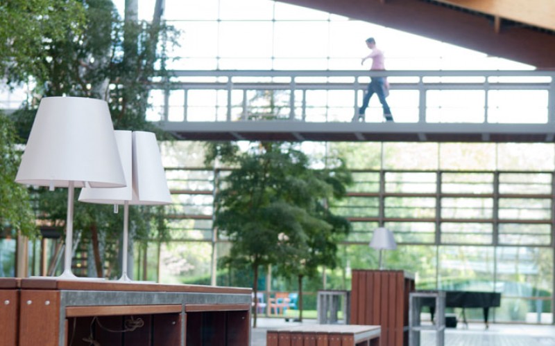 People with an indomitable will